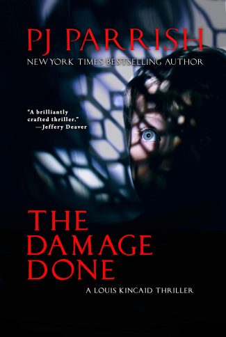 Cover of The Damage Done by PJ Parrish.