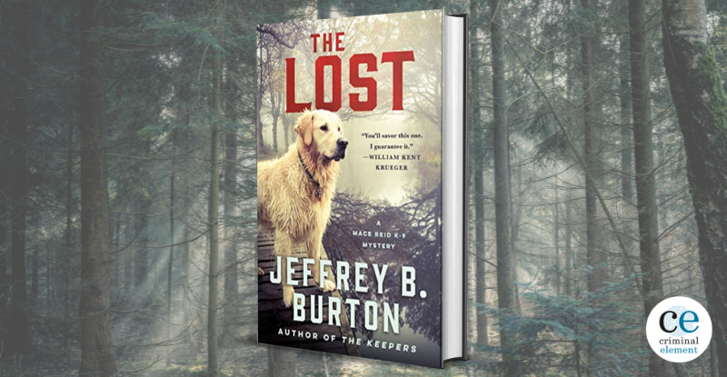 Book Review The Lost by Jeffrey B. Burton