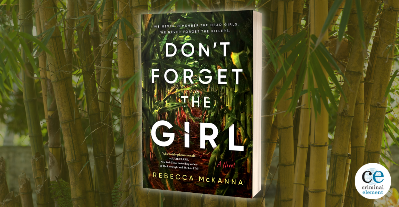 Book Review Dont Forget The Girl By Rebecca Mckanna 